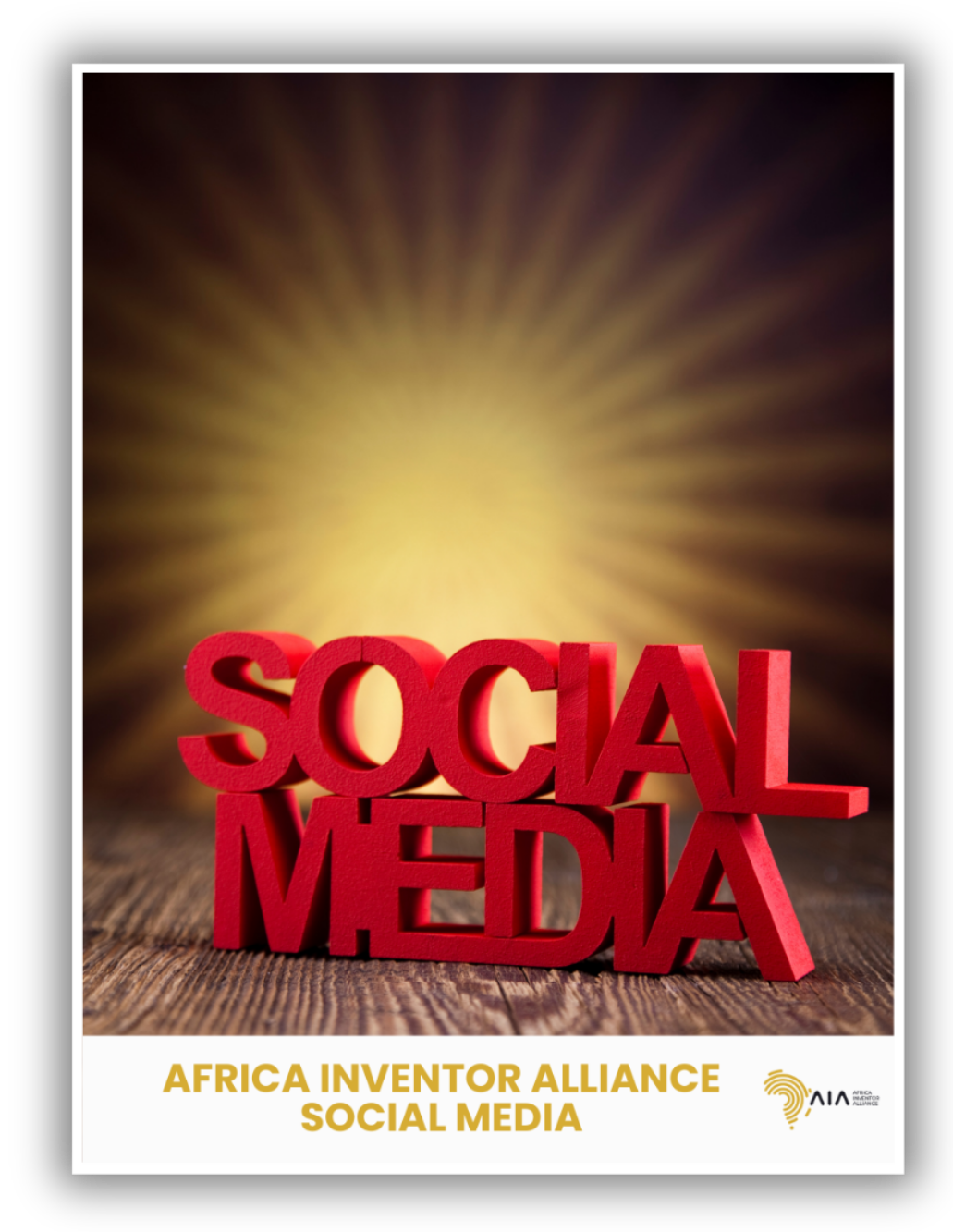 Africa Inventor Alliance LinkedIn Profile